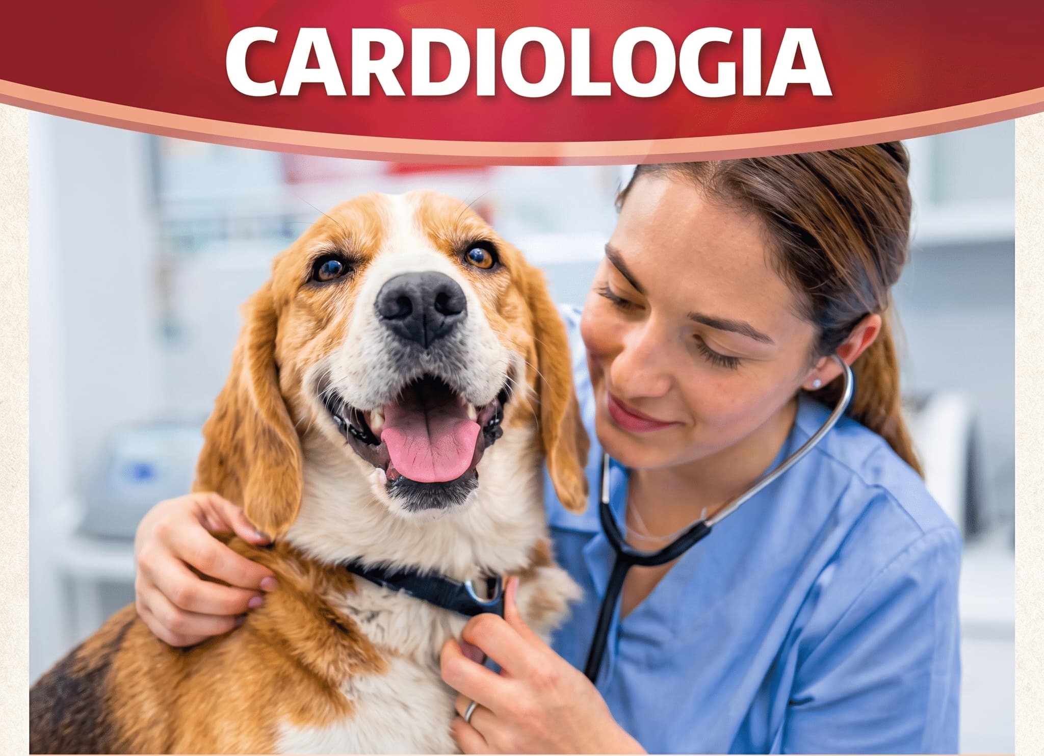 Emergência Veterinária 24h em Brasília
